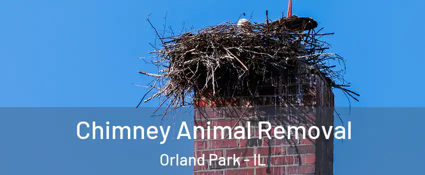 Chimney Animal Removal Orland Park - IL