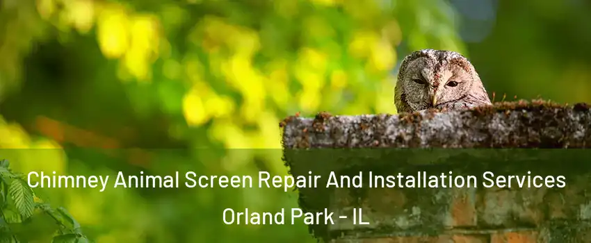  Chimney Animal Screen Repair And Installation Services Orland Park - IL
