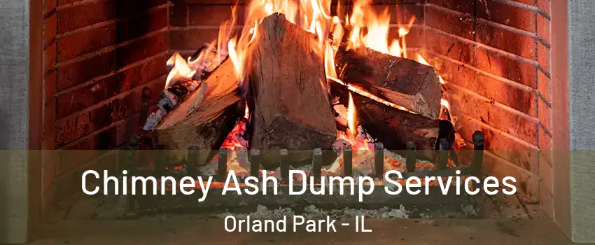  Chimney Ash Dump Services Orland Park - IL