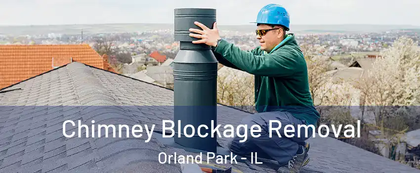  Chimney Blockage Removal Orland Park - IL