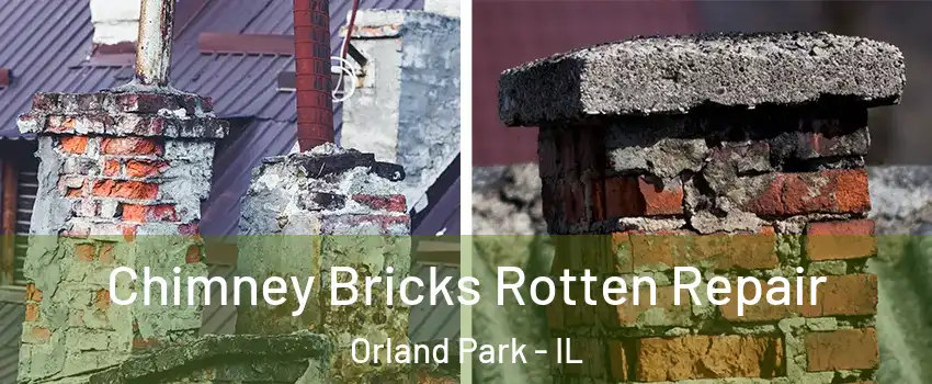  Chimney Bricks Rotten Repair Orland Park - IL