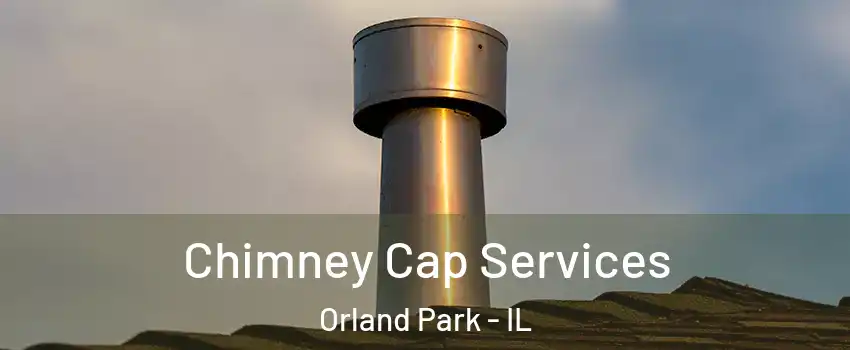  Chimney Cap Services Orland Park - IL