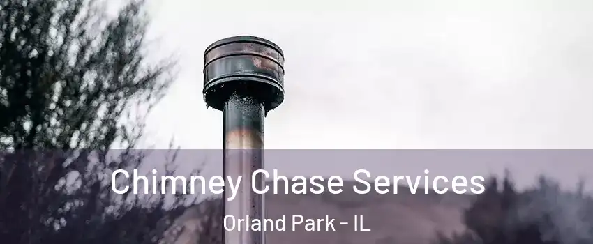  Chimney Chase Services Orland Park - IL