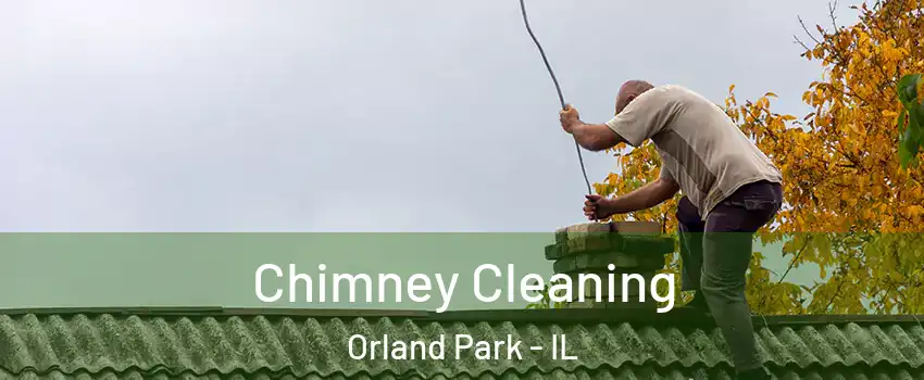  Chimney Cleaning Orland Park - IL