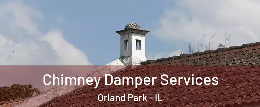  Chimney Damper Services Orland Park - IL