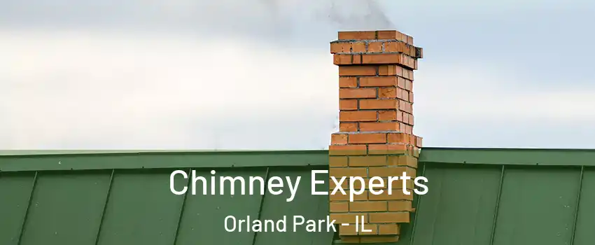 Chimney Experts Orland Park - IL