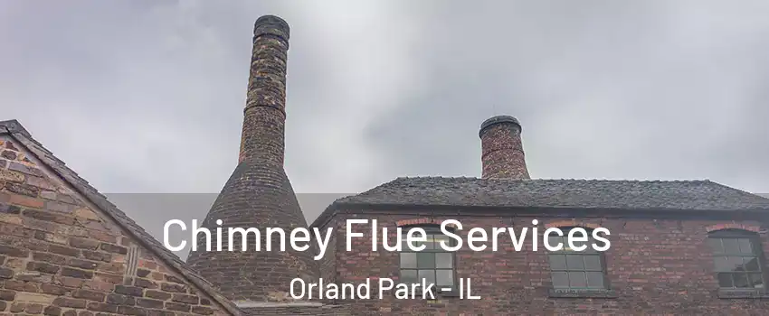  Chimney Flue Services Orland Park - IL