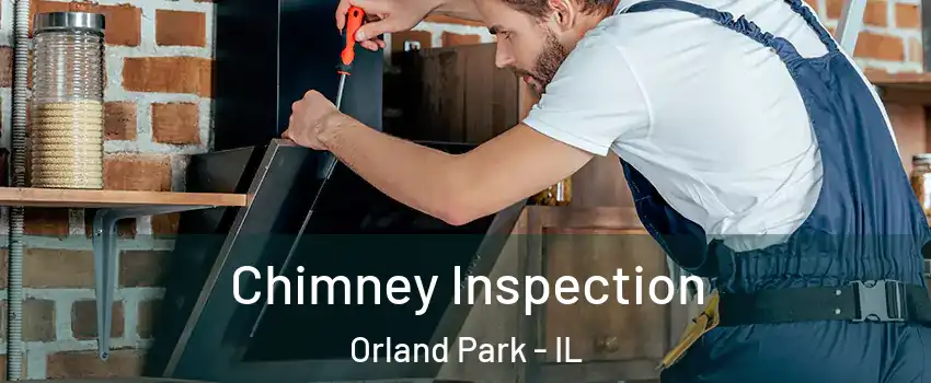  Chimney Inspection Orland Park - IL