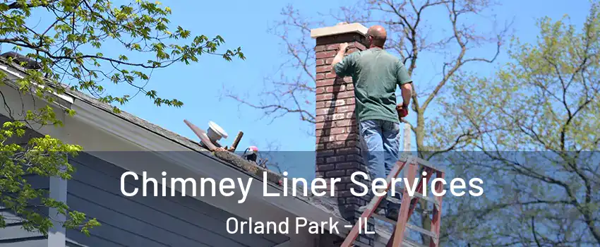  Chimney Liner Services Orland Park - IL