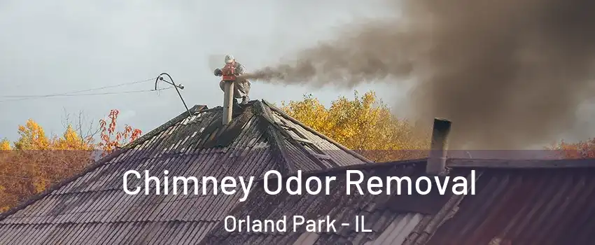  Chimney Odor Removal Orland Park - IL