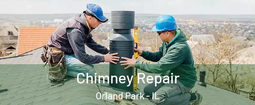  Chimney Repair Orland Park - IL