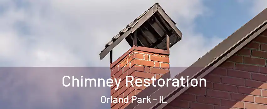  Chimney Restoration Orland Park - IL