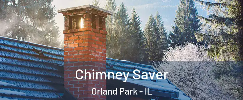 Chimney Saver Orland Park - IL