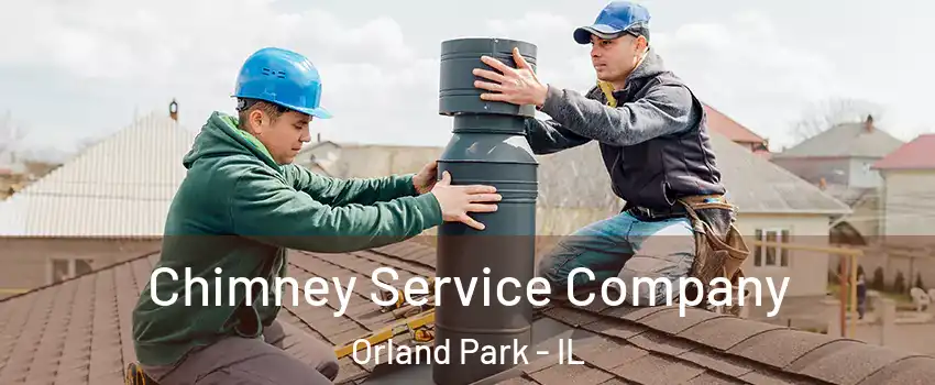  Chimney Service Company Orland Park - IL