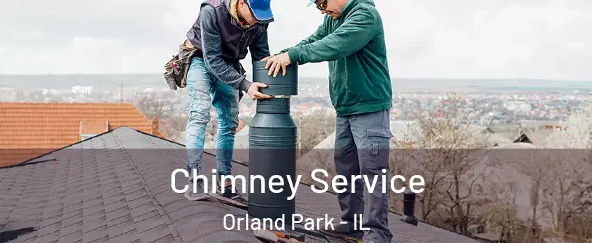  Chimney Service Orland Park - IL