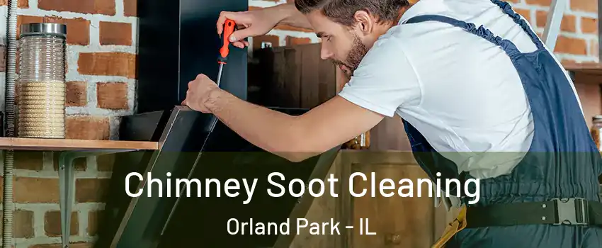  Chimney Soot Cleaning Orland Park - IL