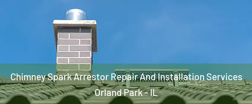  Chimney Spark Arrestor Repair And Installation Services Orland Park - IL