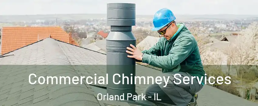  Commercial Chimney Services Orland Park - IL