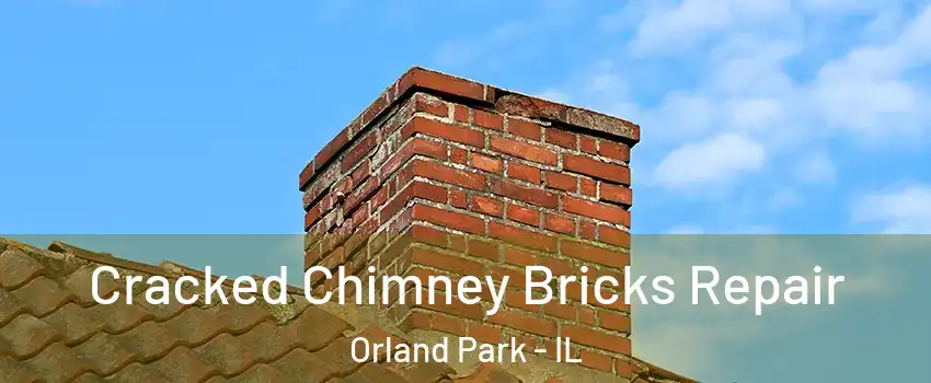  Cracked Chimney Bricks Repair Orland Park - IL