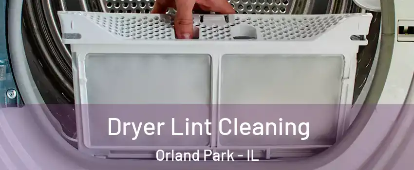  Dryer Lint Cleaning Orland Park - IL