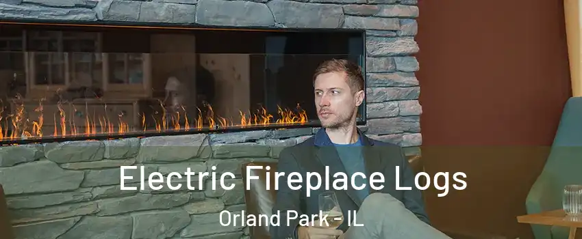  Electric Fireplace Logs Orland Park - IL