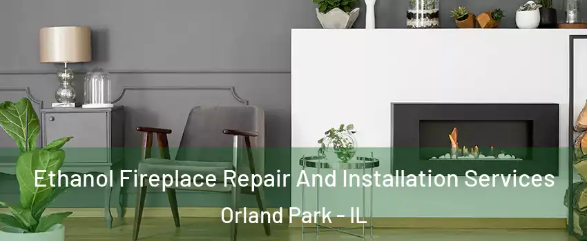  Ethanol Fireplace Repair And Installation Services Orland Park - IL