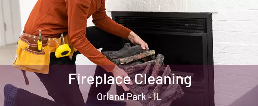  Fireplace Cleaning Orland Park - IL