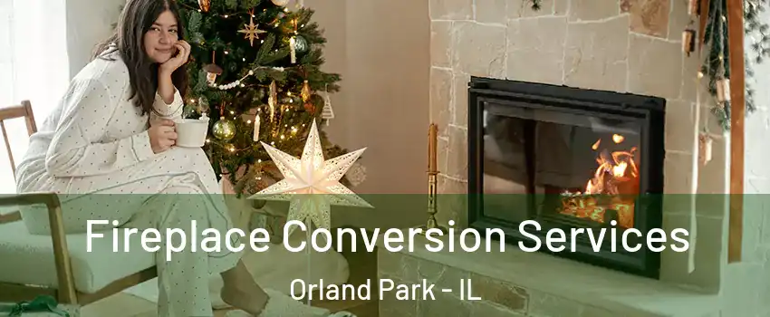  Fireplace Conversion Services Orland Park - IL