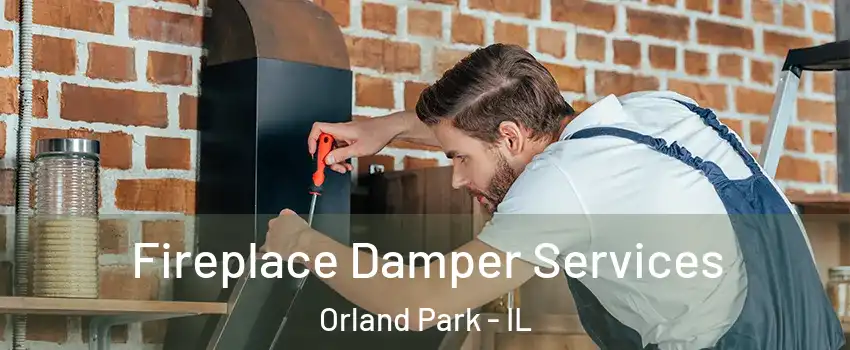  Fireplace Damper Services Orland Park - IL