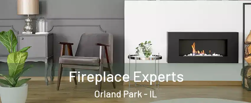  Fireplace Experts Orland Park - IL