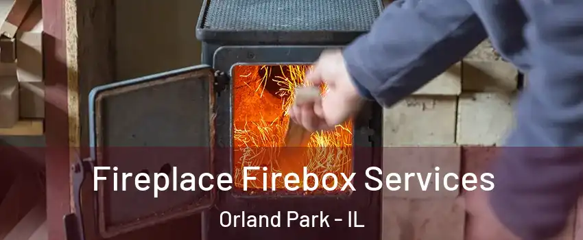  Fireplace Firebox Services Orland Park - IL
