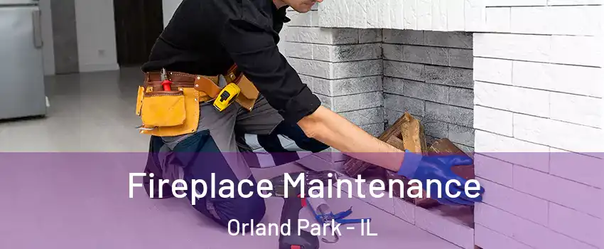  Fireplace Maintenance Orland Park - IL