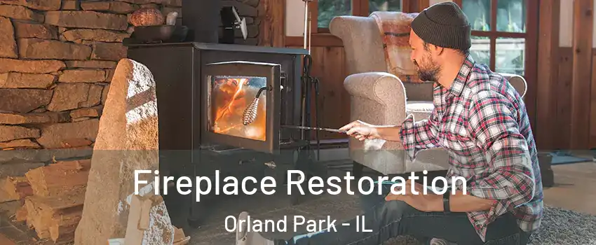  Fireplace Restoration Orland Park - IL
