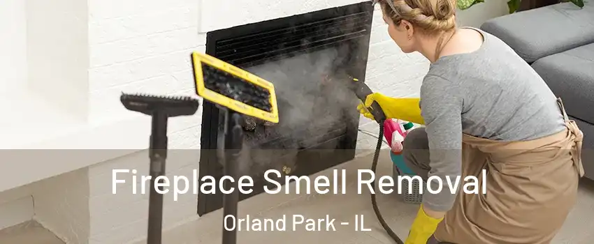  Fireplace Smell Removal Orland Park - IL