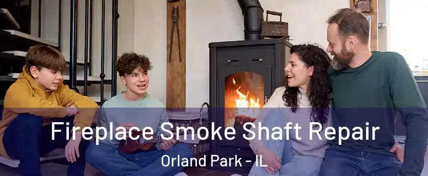  Fireplace Smoke Shaft Repair Orland Park - IL
