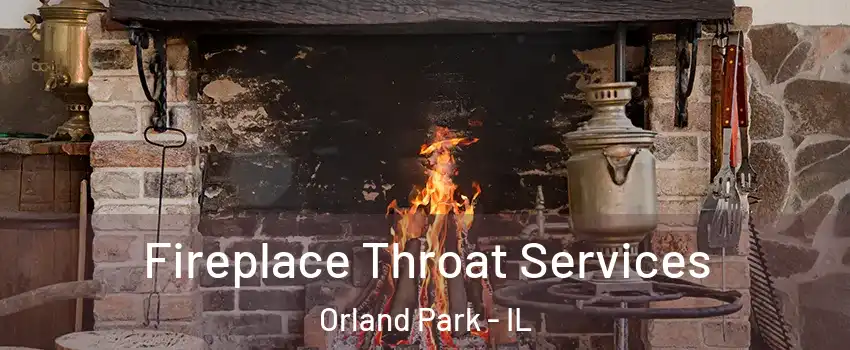  Fireplace Throat Services Orland Park - IL