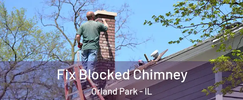  Fix Blocked Chimney Orland Park - IL