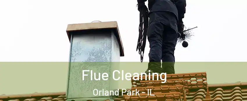  Flue Cleaning Orland Park - IL