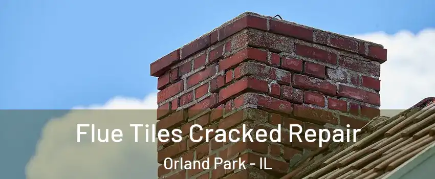  Flue Tiles Cracked Repair Orland Park - IL