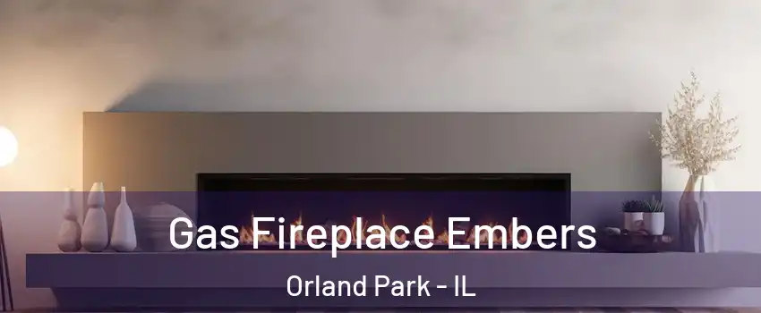  Gas Fireplace Embers Orland Park - IL