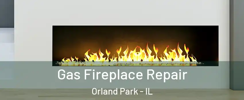  Gas Fireplace Repair Orland Park - IL