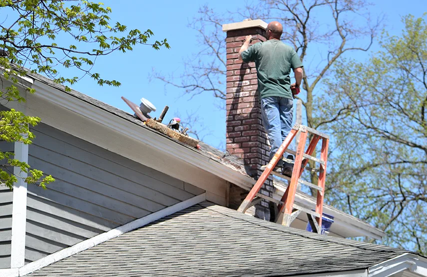 Chimney & Fireplace Inspections Services in Orland Park, IL