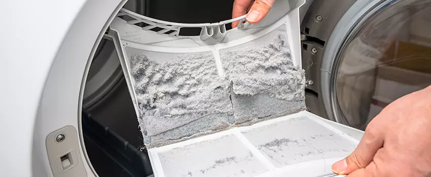 Best Dryer Lint Removal Company in Orland Park, Illinois