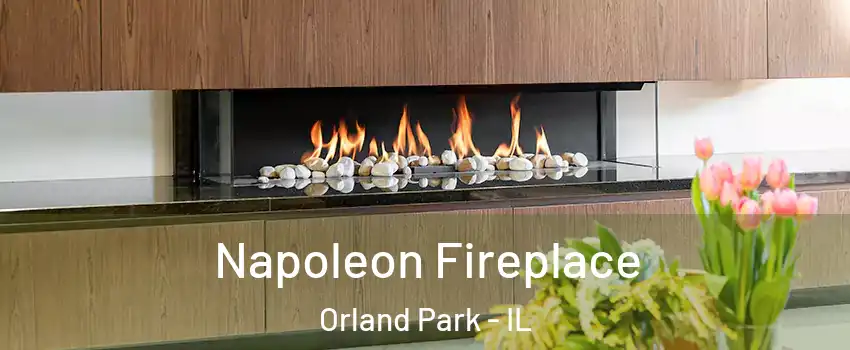  Napoleon Fireplace Orland Park - IL