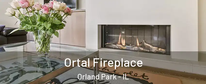 Ortal Fireplace Orland Park - IL