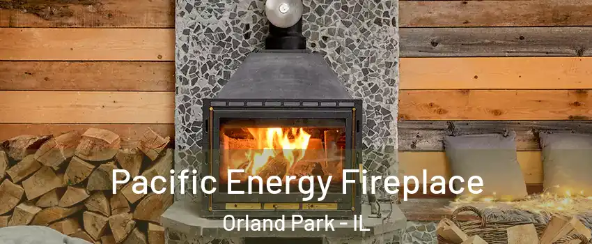  Pacific Energy Fireplace Orland Park - IL