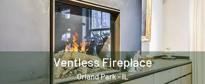  Ventless Fireplace Orland Park - IL